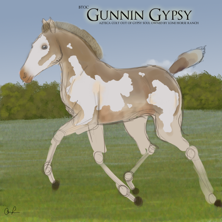 |Foal Reference| BTOC Gunnin Gypsy