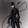 Catwoman colours