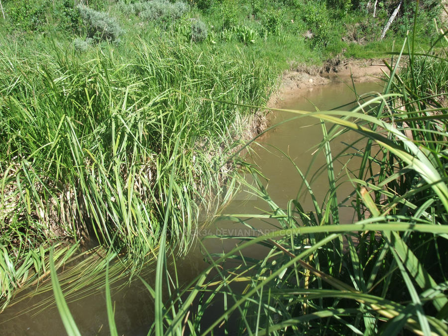 Stream Bed 3 by ackpack34 on DeviantArt