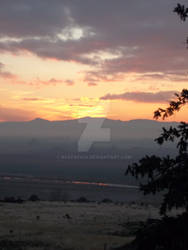 Sunset from the Mountain Full Verticle with Tree by ackpack34