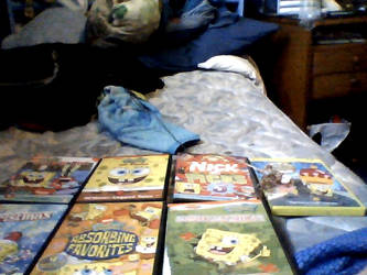 My SpongeBob DVD Collection