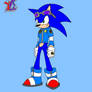 Sonic the Hedgehog, 6 Yrs Older