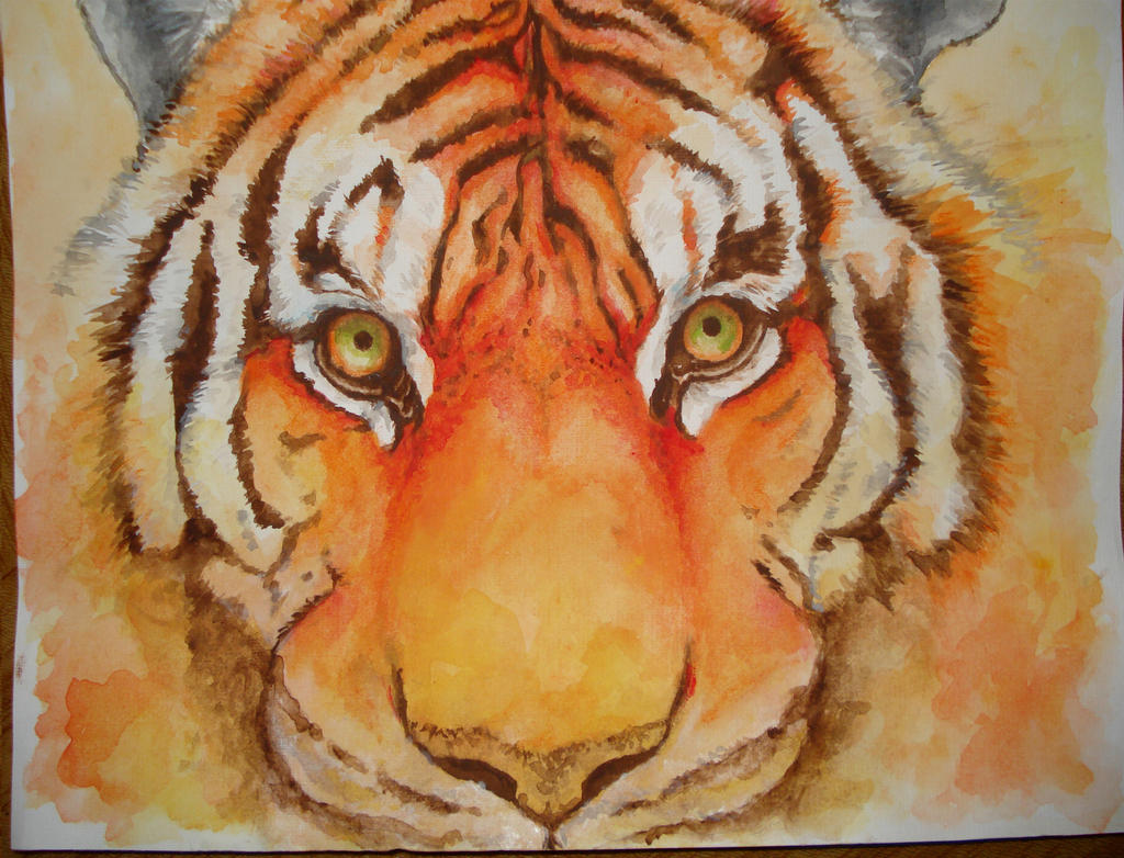 LIFE OF PI by COla013 on DeviantArt