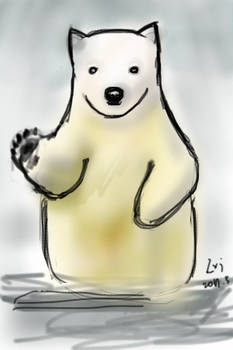 Polar Bear