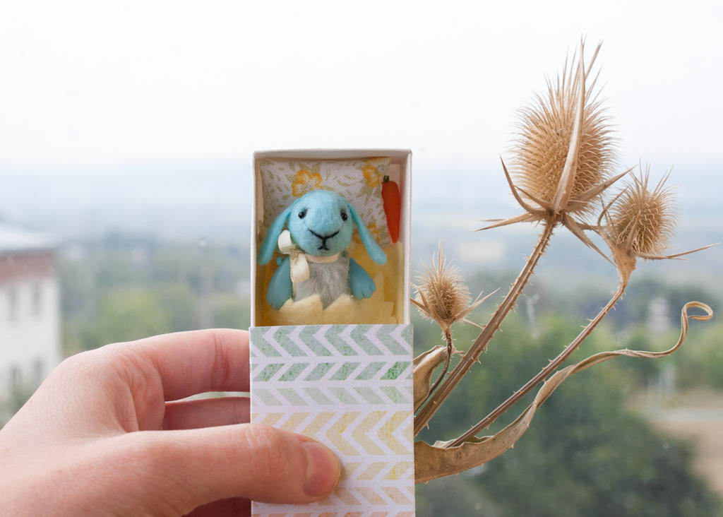 blue bunny in a matchbox by freedragonfly