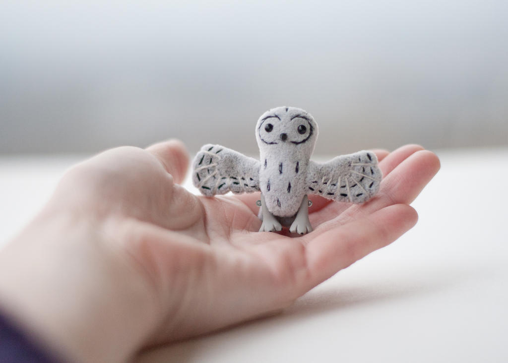 tiny owl by freedragonfly tiny owl by freedragonfly