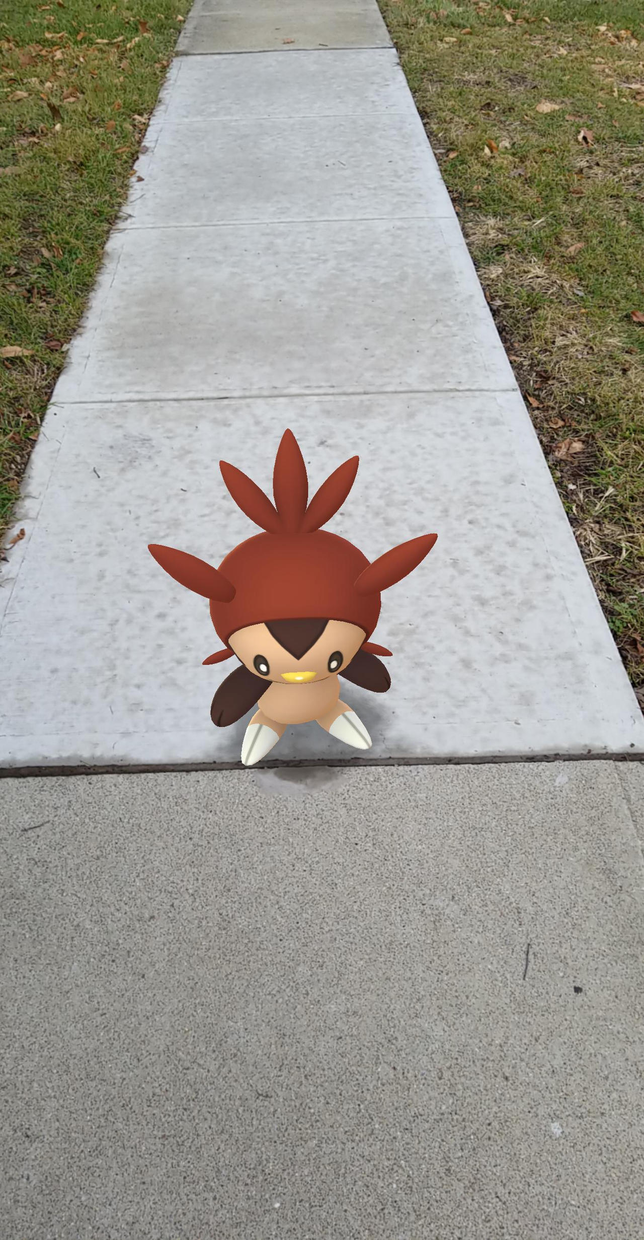 Shiny Chespin by CireRevenocamatuer0 on DeviantArt