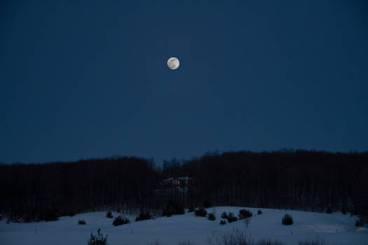 Evening Moon 1