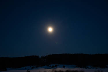 Evening Moon 2