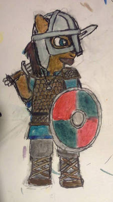 Viking pony #01