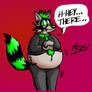 Ian the Fat Raccoon