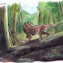 Lycaenops