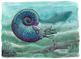 Kosmoceras