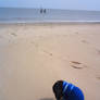 bunny on the beach