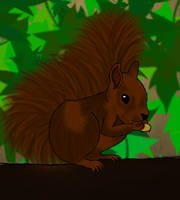 Squirrel in Color