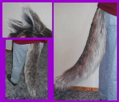 Wolf tail and ears