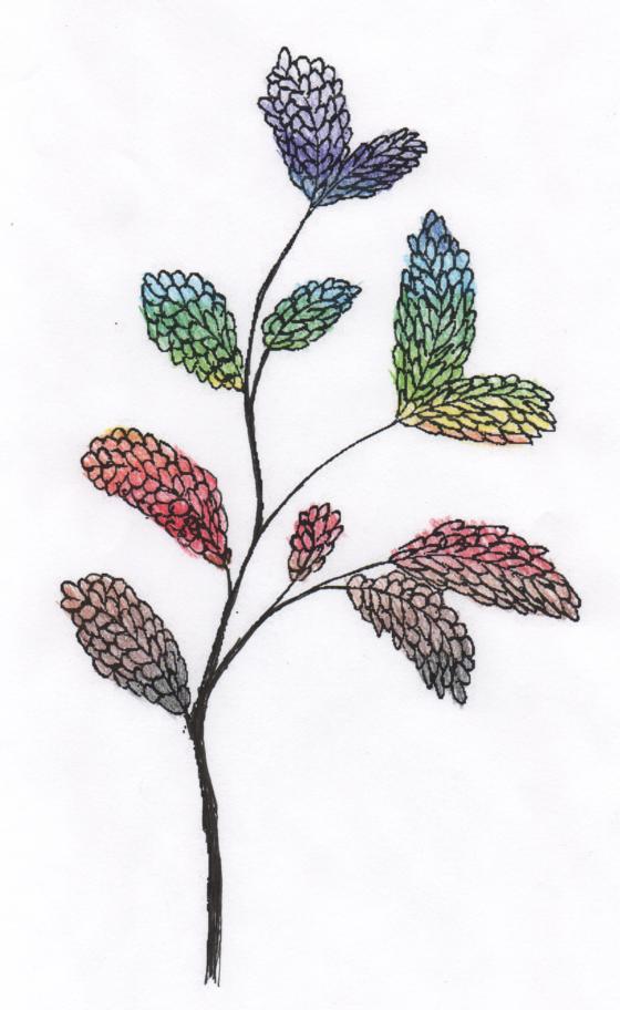 Tree Branch Colored