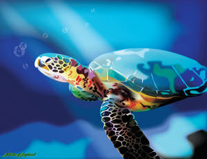 Sea Turtle