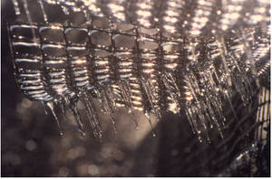 Chain Link Icicles