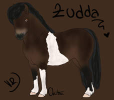 Zudda The Pony!