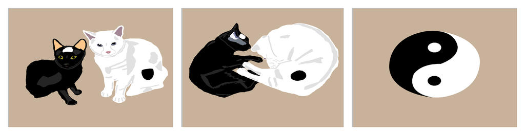 Yin Yang Cats