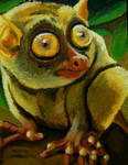 Tarsier by CRAMbambie