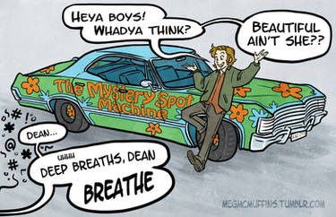 Mystery Spot Machine