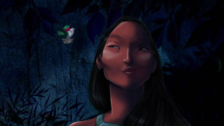 Disney Screencap re-shade - Pocahontas