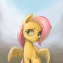Flutter