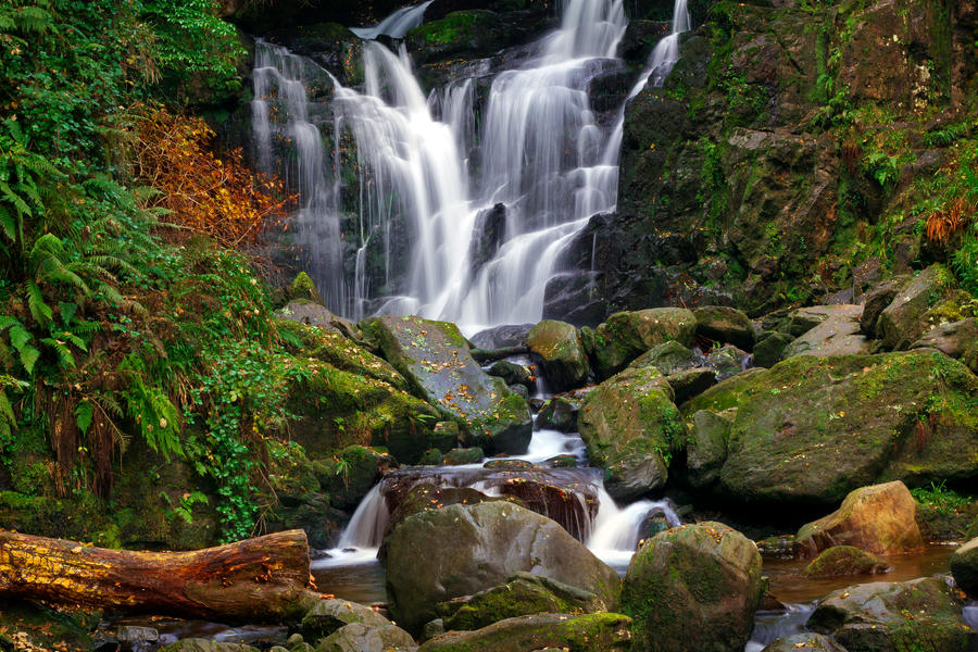 Woodland Stream