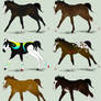 Breeding Season Foals Vol. 2