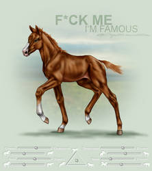 F_ck Me I'm Famous
