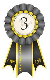 Elite Dressage Event Ribbon 3rd Place