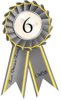 Elite Dressage Event Ribbon 6th Place by Tigra1988 on DeviantArt