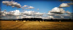 Hay Bales I by RobLand