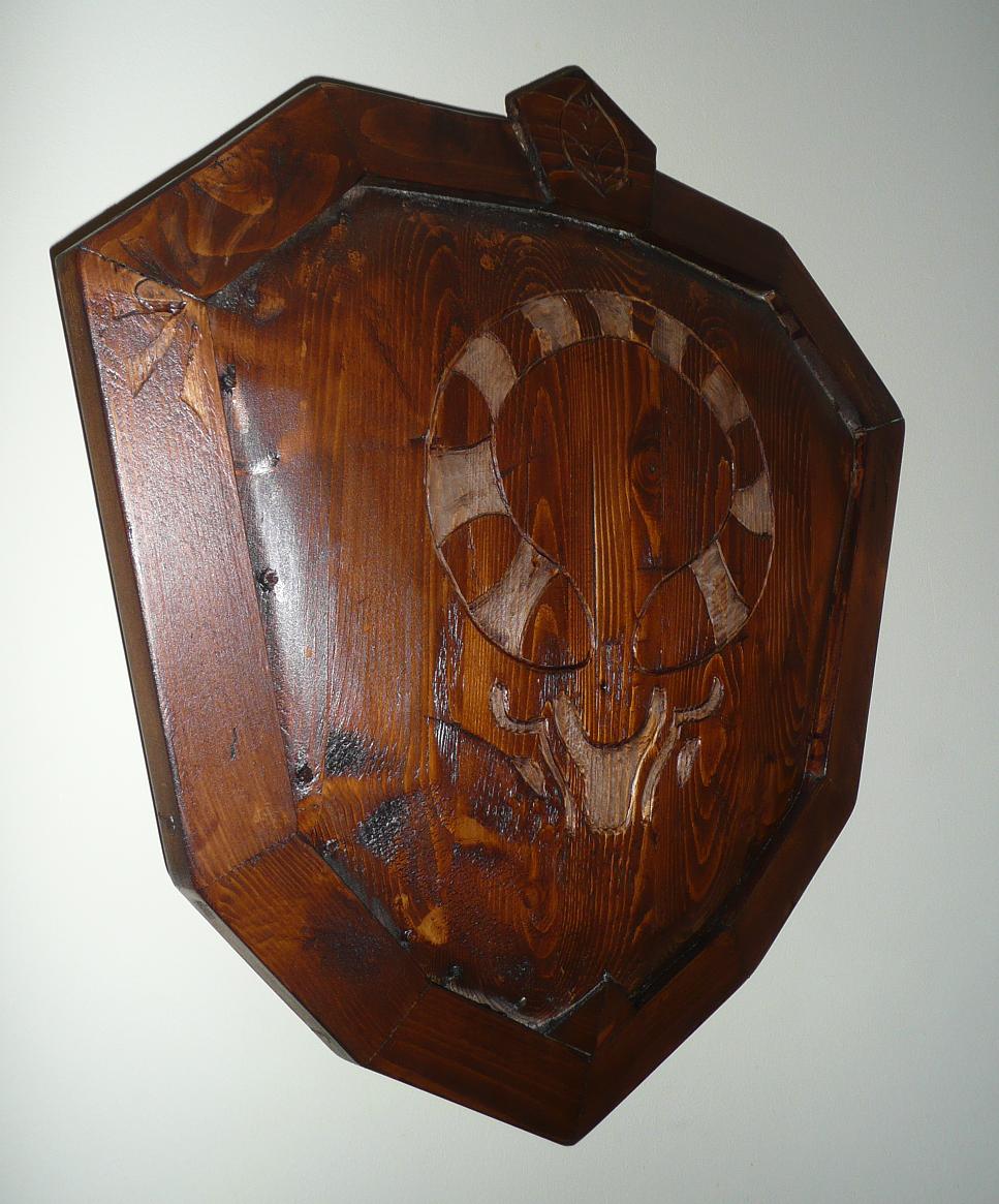 Link's Ordon shield