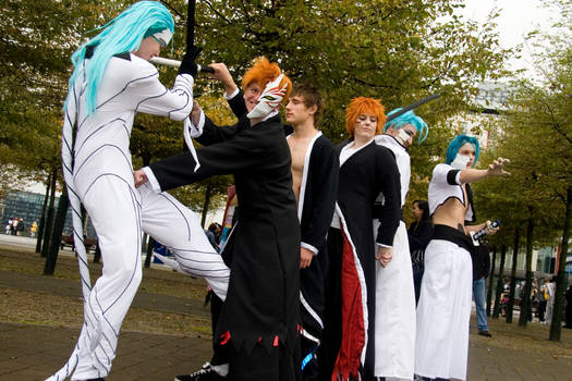 Bleach 17