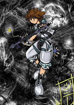 KH2: Sora -- Final Form