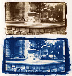 Fountain Diptych