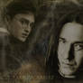 Severus and Harry