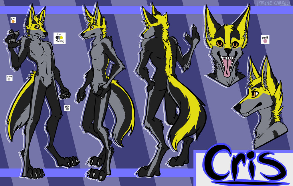Crix Character Cris Reference Sheet by AwfulRabbit on DeviantArt