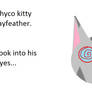 Phyco kitty Jayfeather