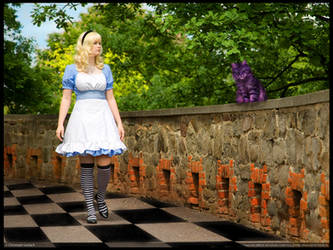 Find the way in wonderland? by L-a-y-l-a