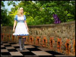 Find the way in wonderland? by L-a-y-l-a