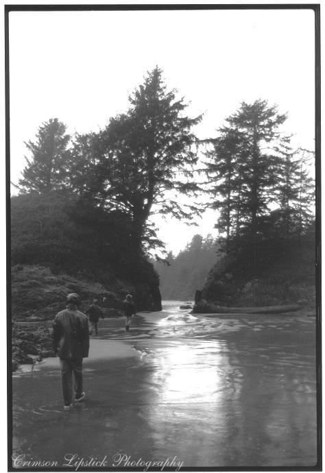 Grey Tofino Day 2