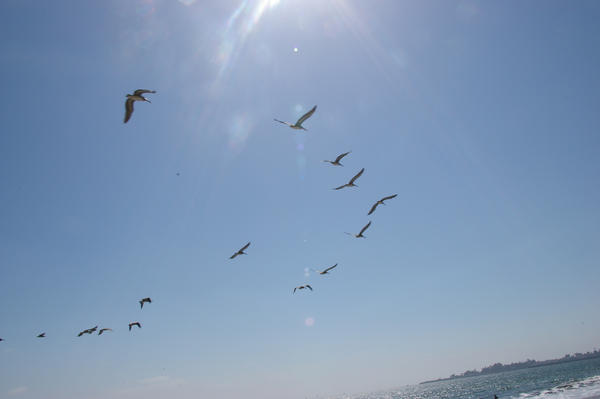 at the beach one