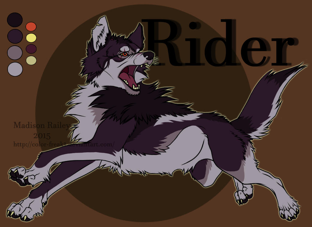 What Color Is Rider Rider Character Sheet by color-freak1 on DeviantArt