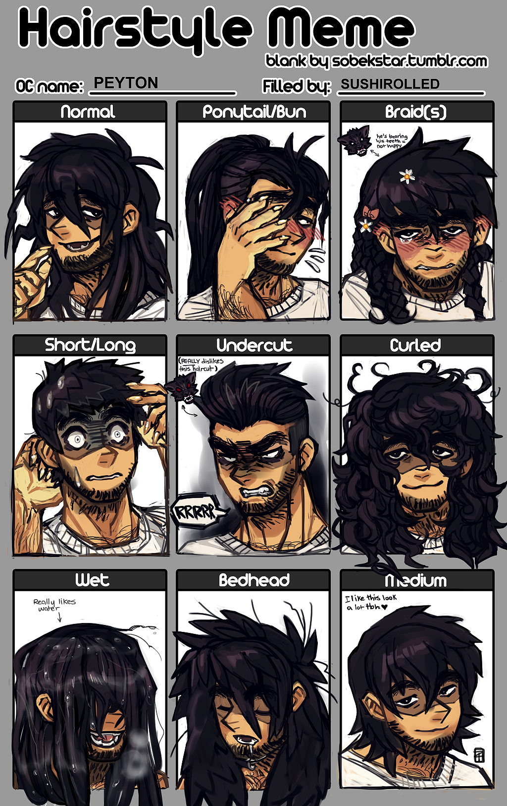 Sh Pey Hairstyle Meme By Sushirolled On Deviantart