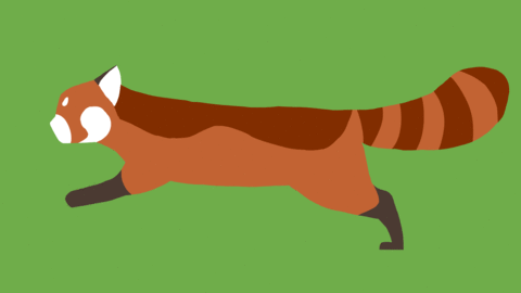 Redpanda Run Animation By Sealbatross On Deviantart Redpanda Run Animation By Sealbatross On Deviantart