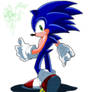 Sonic the hedgehog